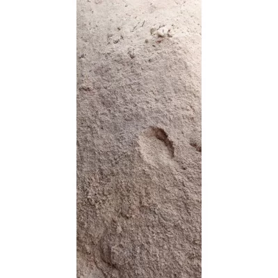 Опилки хвойных пород насыпью